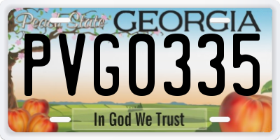 GA license plate PVG0335