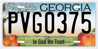 GA license plate PVG0375