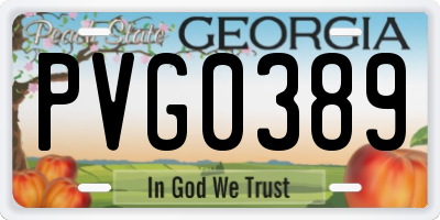 GA license plate PVG0389
