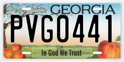 GA license plate PVG0441