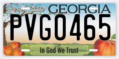 GA license plate PVG0465