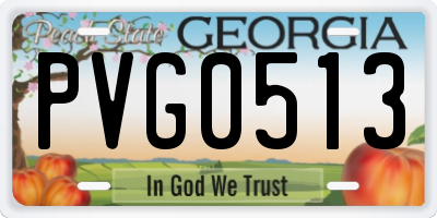 GA license plate PVG0513