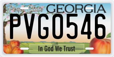 GA license plate PVG0546
