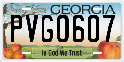 GA license plate PVG0607