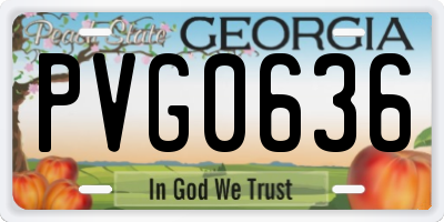 GA license plate PVG0636