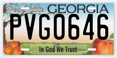 GA license plate PVG0646