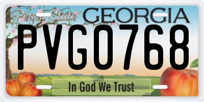 GA license plate PVG0768