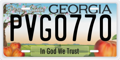 GA license plate PVG0770