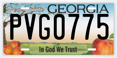 GA license plate PVG0775