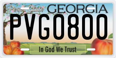 GA license plate PVG0800