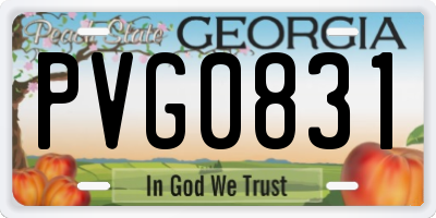 GA license plate PVG0831