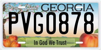 GA license plate PVG0878