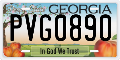 GA license plate PVG0890