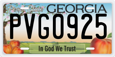 GA license plate PVG0925