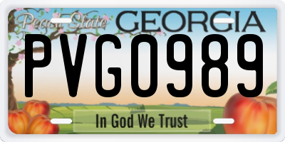 GA license plate PVG0989