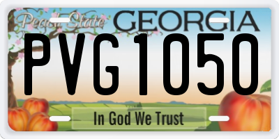 GA license plate PVG1050