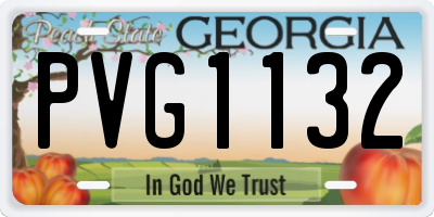 GA license plate PVG1132