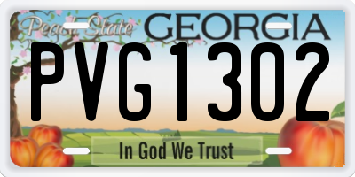 GA license plate PVG1302