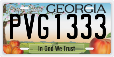 GA license plate PVG1333
