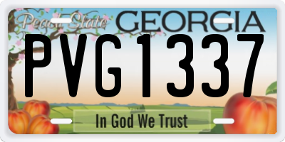 GA license plate PVG1337