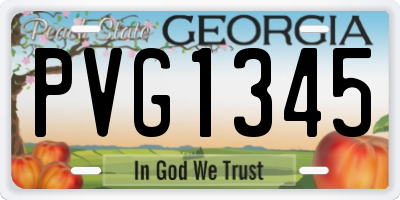 GA license plate PVG1345