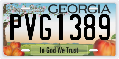 GA license plate PVG1389