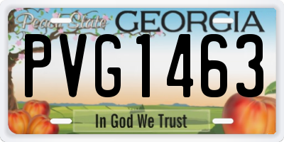 GA license plate PVG1463