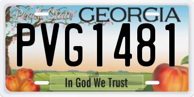 GA license plate PVG1481