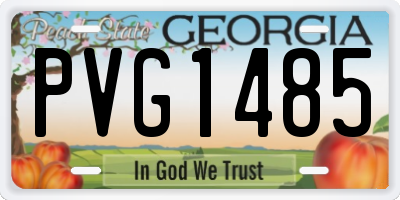 GA license plate PVG1485