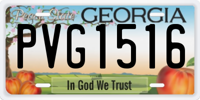 GA license plate PVG1516