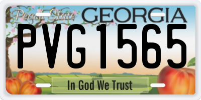 GA license plate PVG1565