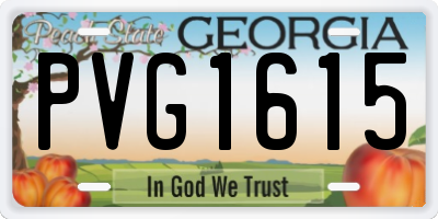 GA license plate PVG1615