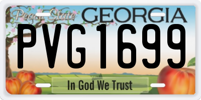 GA license plate PVG1699