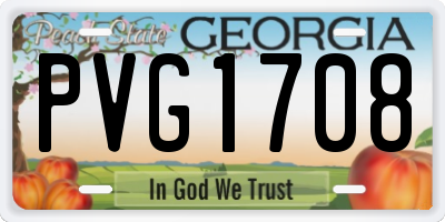 GA license plate PVG1708