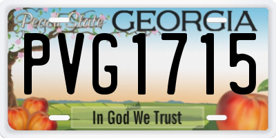 GA license plate PVG1715