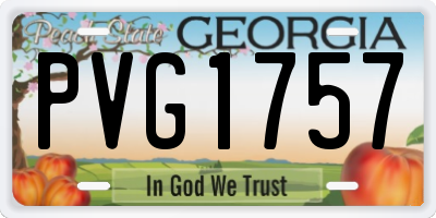 GA license plate PVG1757
