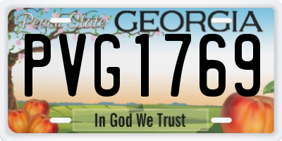 GA license plate PVG1769