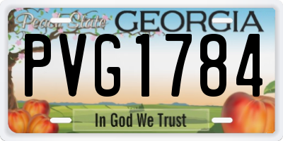 GA license plate PVG1784