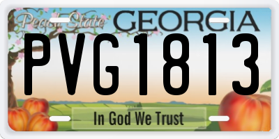 GA license plate PVG1813