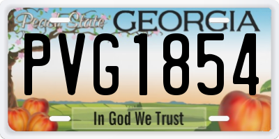 GA license plate PVG1854