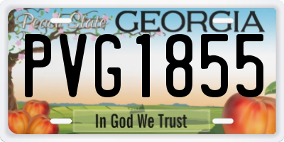 GA license plate PVG1855