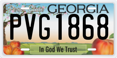 GA license plate PVG1868
