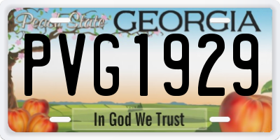 GA license plate PVG1929
