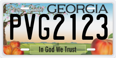 GA license plate PVG2123