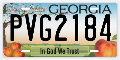 GA license plate PVG2184