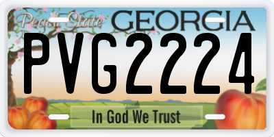 GA license plate PVG2224