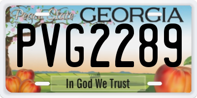 GA license plate PVG2289