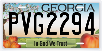 GA license plate PVG2294