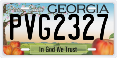 GA license plate PVG2327