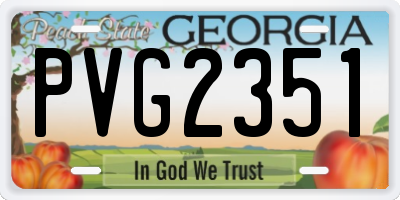GA license plate PVG2351